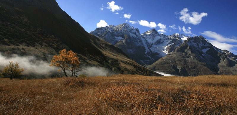 823 - COULEUR DE L'AUTOMNE - BECQUE JACQUELINE - belgium.jpg